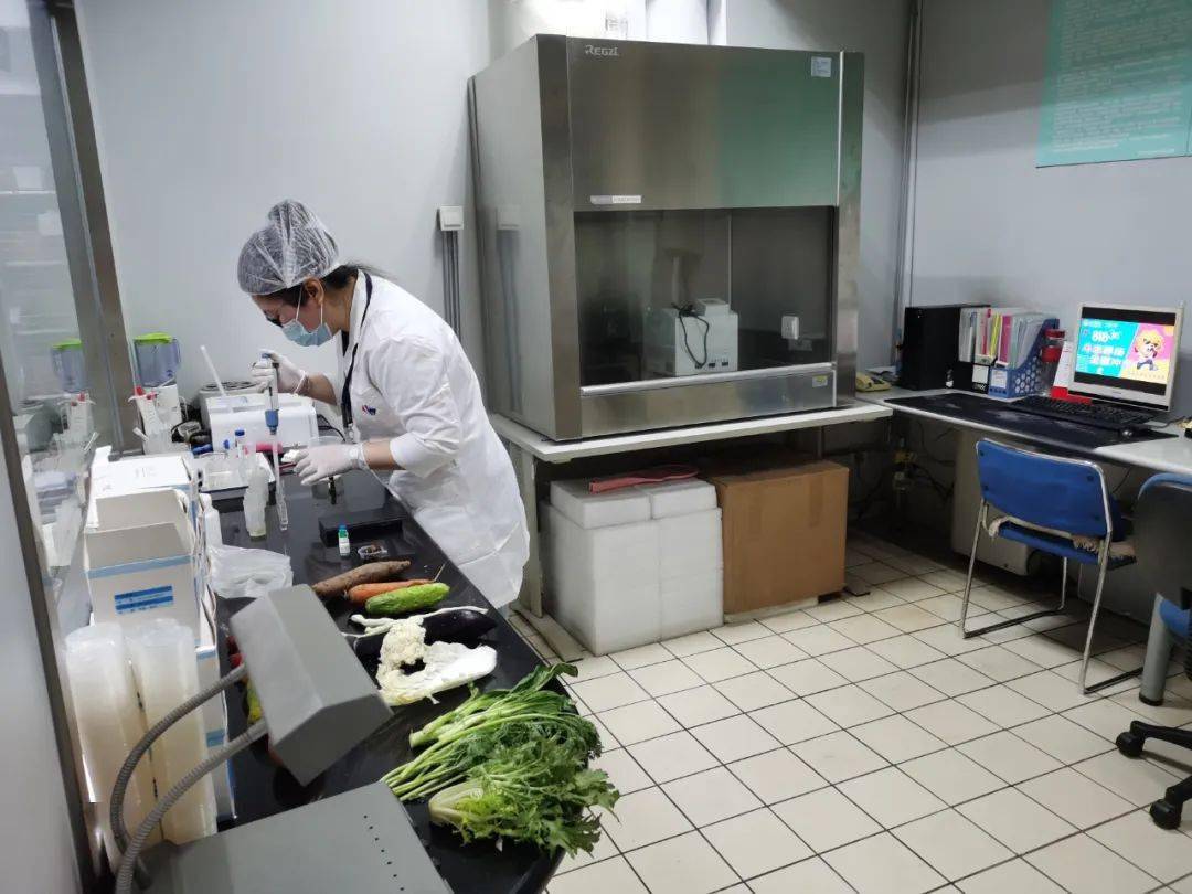 忠县食品检测实验室装修方案